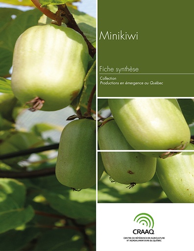 [PERA0102-15PDF] Fiche synthèse - Minikiwi (PDF)