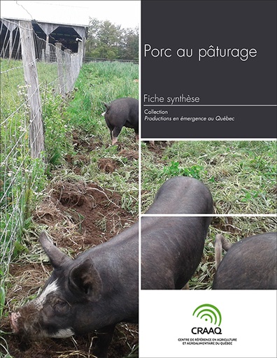 [PERA0104-15PDF] Fiche synthèse - Porc au pâturage (PDF)