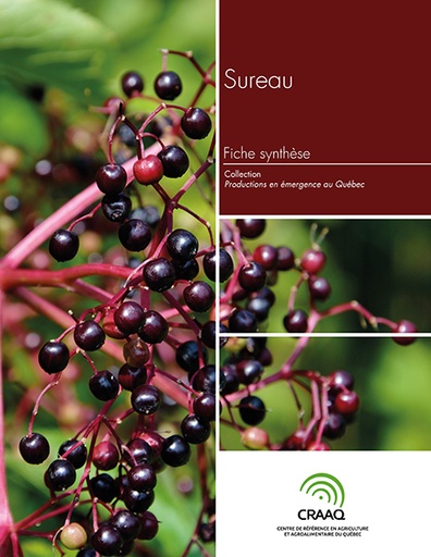 [PERA0104-19PDF] Fiche synthèse - Sureau (PDF)
