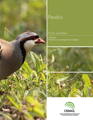 [PERA0102-05PDF] Fiche synthèse - Perdrix (PDF)