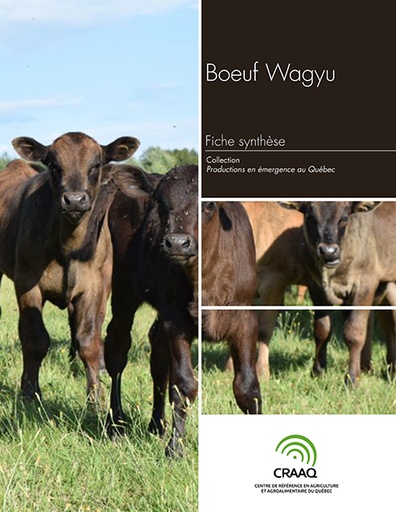 [PERA0102-09PDF] Fiche synthèse - Bœuf Wagyu (PDF)