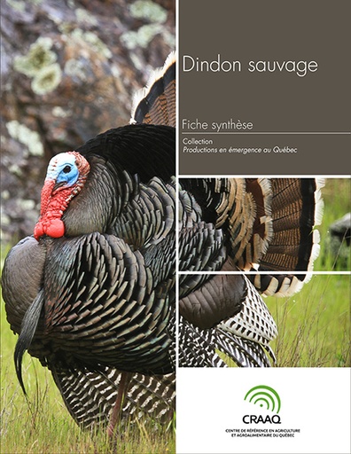 [PERA0102-11PDF] Fiche synthèse - Dindon sauvage (PDF)