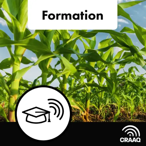 [OWFPHY0104] Formation - Gestion intégrée des mauvaises herbes