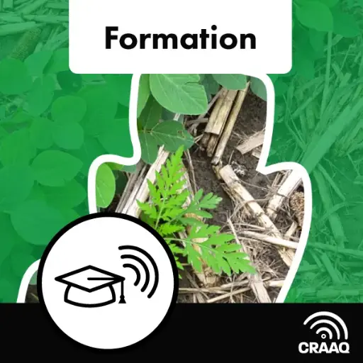[OWFPHY0101] Formation - La résistance des mauvaises herbes aux herbicides