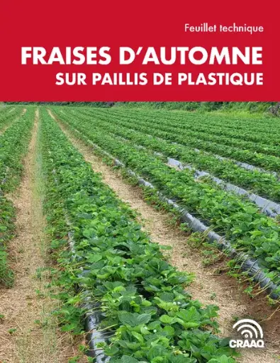 [PTF003PUB-02] Feuillet technique : Fraises d'automne sur paillis de plastique 